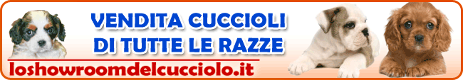 VENDITA CUCCIOLI DI TUTTE LE RAZZE