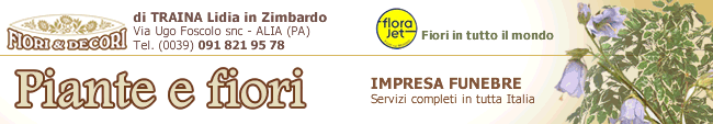 Piante, fiori, addobbi per qualsiasi ricorrenza, impresa funebre. Fiori in tutto il mondo