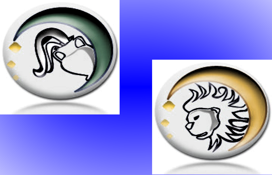 <b>Ab Aquario… ad Leonem</b>