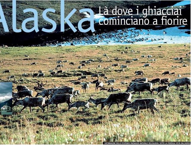 <b>Alaska - Là dove i ghiacciai cominciano a fiorire</b>