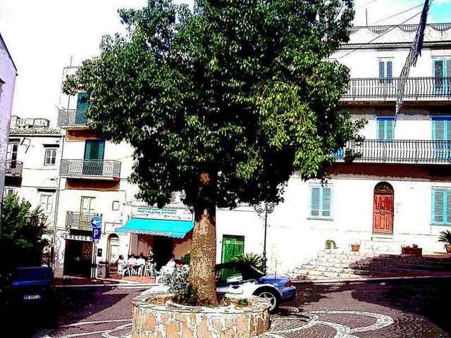 <b>Al bar del centro</b>