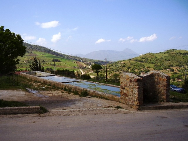 <b>” Le mignatte ”</b>