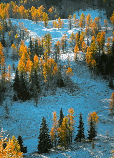 <b>Il fascino dell’Altopiano di Asiago (o dei 7 Comuni)</b> - “inverno” -I-