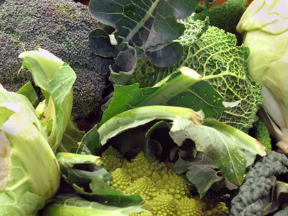 <b>‘Na cavulata can save your life!</b>