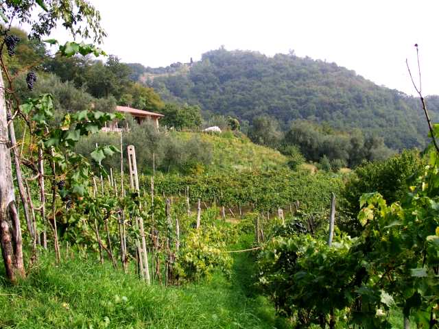 <b>Anc̣</b> (Oggi)