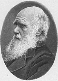 <b>l'evoluzione e l'incerto futuro dell'uomo</b>