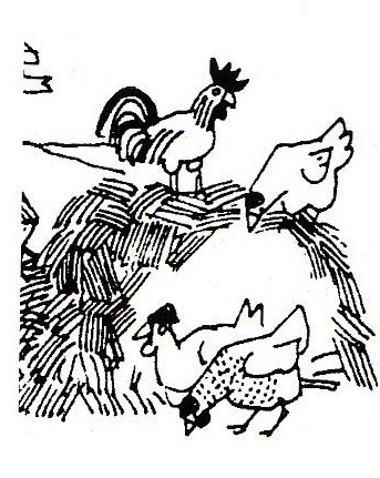 <i><b>li fumazzara</b></i>
