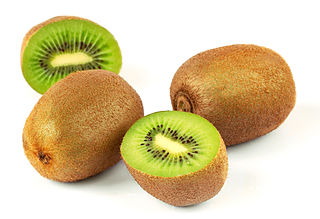 <b>A kiwi quagghiata for Epiphany...</b>