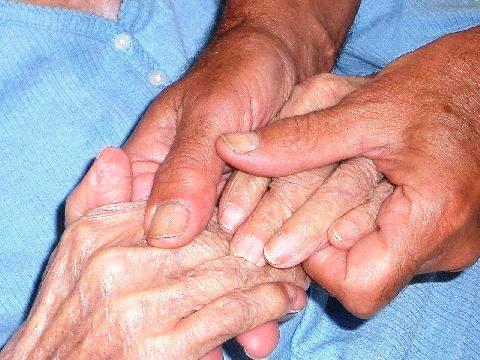 <b>Le nostre mani / Our hands </b>
