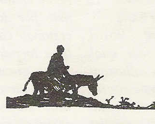 <b>Cortile Genco</b>