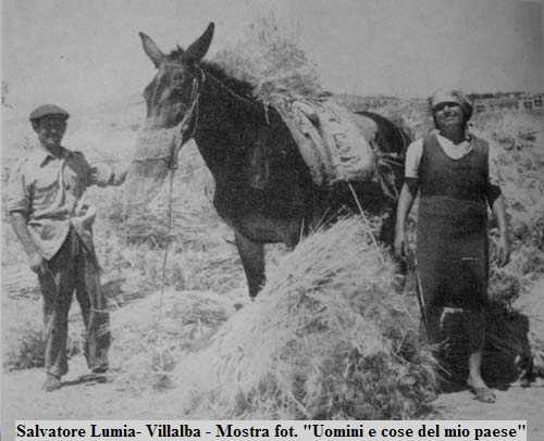 <b>LE TRADIZIONI</b> - VIII^ Parte -
