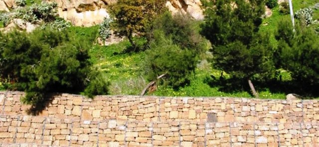 <b>La zaffinata di lu zzì Ustinu</b>
