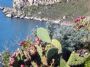 Milazzo scorcio capo di Milazzo*