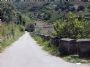 Strada di collegamento con la chiesa dei SS. Pietro e Paolo*