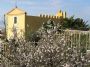 Milazzo Chiesa S.Rocco - 1575 -*