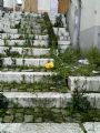 <small>questa e alia citta giardino per i signori del comune questa e alia immondizia</small>