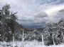 Epifania con la neve