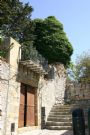 Ruderi del castello normanno con, a sinistra, un Abies Nebrodensis, unico in Sicilia