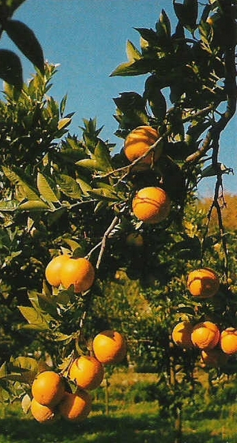 <b>Questa terra...</b>
