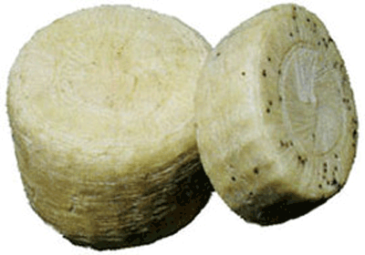 <b>La produzione casearia aliese</b>- II^ Parte -
