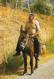 <b>FORSE UN GIORNO</b> - II^ Parte –