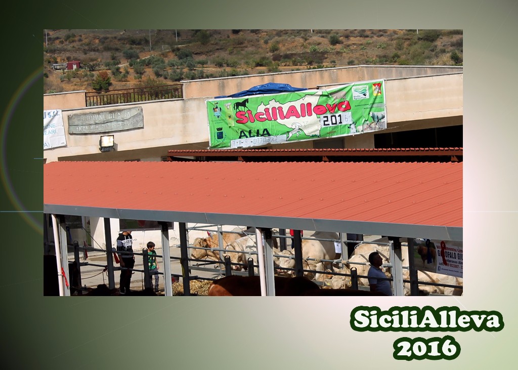 SICILIALLEVA 2016 - ZOOTECNIA, SAPORI E TRADIZIONI (IX EDIZIONE) - VI ASPETTIAMO AD ALIA IL 7, 8 E 9 OTTOBRE 2016