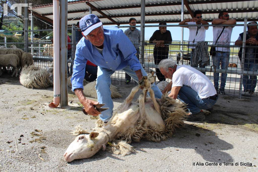 FIERA DELLO STATUTO,2 GIUGNO 2018