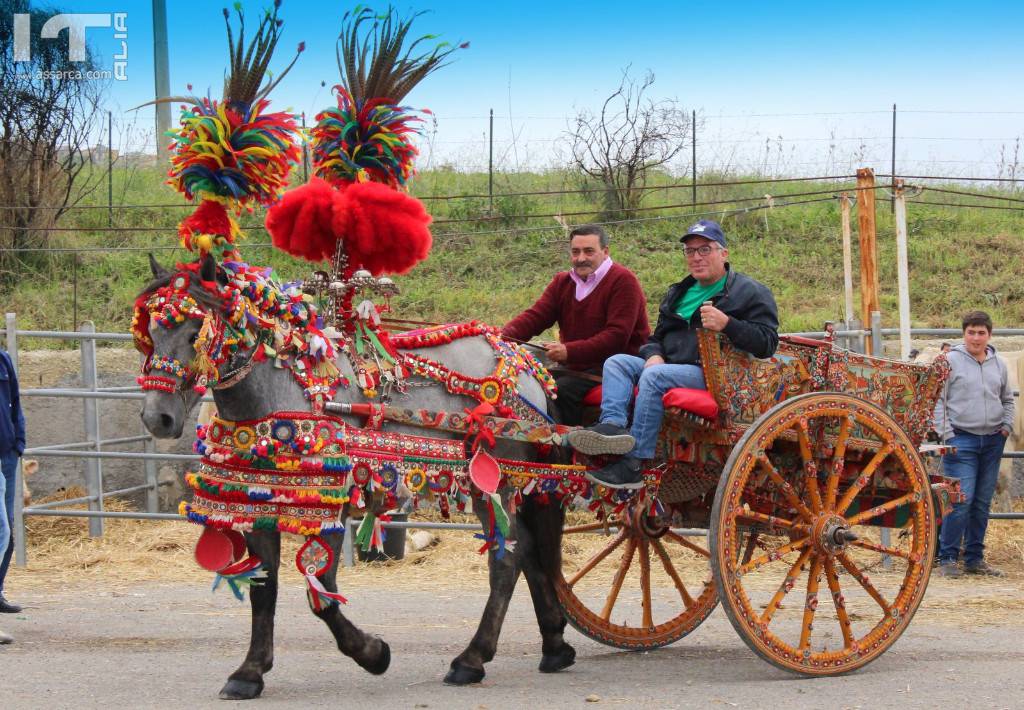 SICILIALLEVA 2018 ( FOTO DI DOMENICA  14 OTTOBRE)