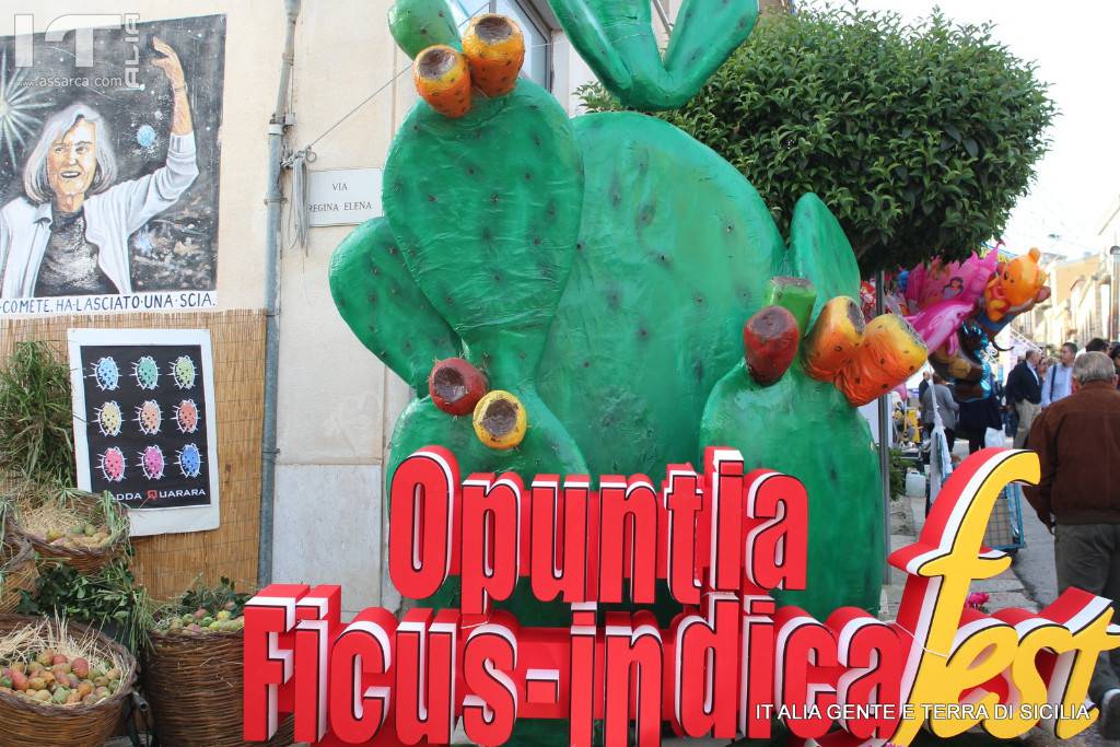 OPUNTIA FICUS - INDICA FEST 
XIX SAGRA DEL FICODINDIA