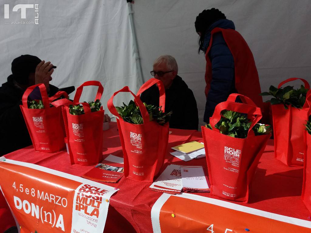 ALIA E LA GARDERNIA DI AISM..UN ALTRO SI A SOSTEGNO DELLA RICERCA, 