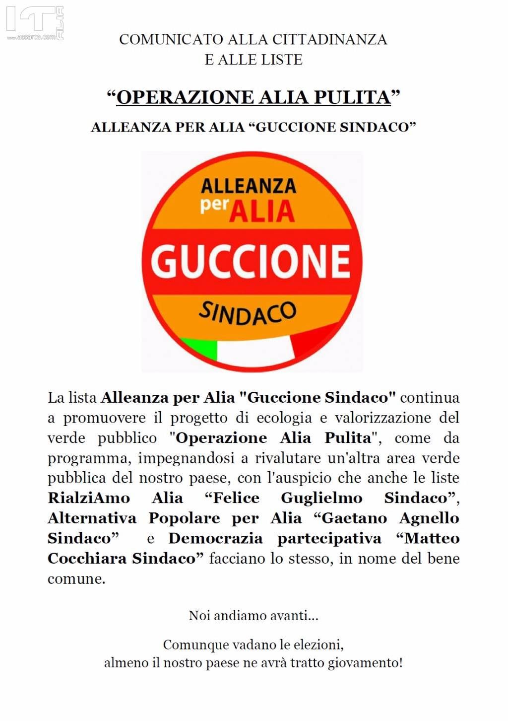 OPERAZIONE ALIA PULITA, 