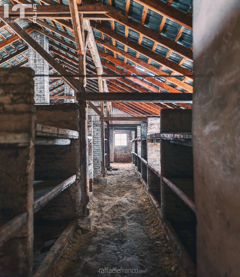 Auschwitz Memorial  - fotoracconto di Raffaele Franco, 