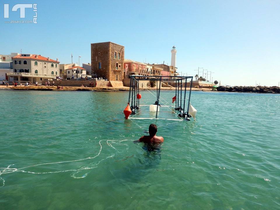 SICILIA, PRIMA CAMPAGNA DI RICERCHE SUL RELITTO DI EPOCA BIZANTINA NEL MARE DEL COMMISSARIO MONTALBANO, 