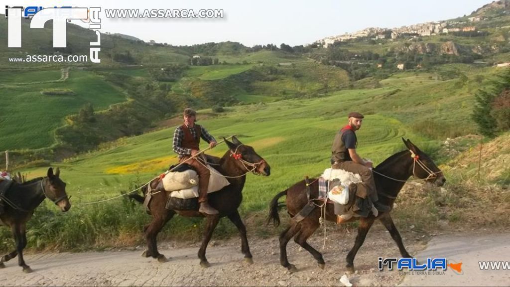 ECOMULO - ALIA 6 MAGGIO 2015 - FOTO GUIDO VINCI