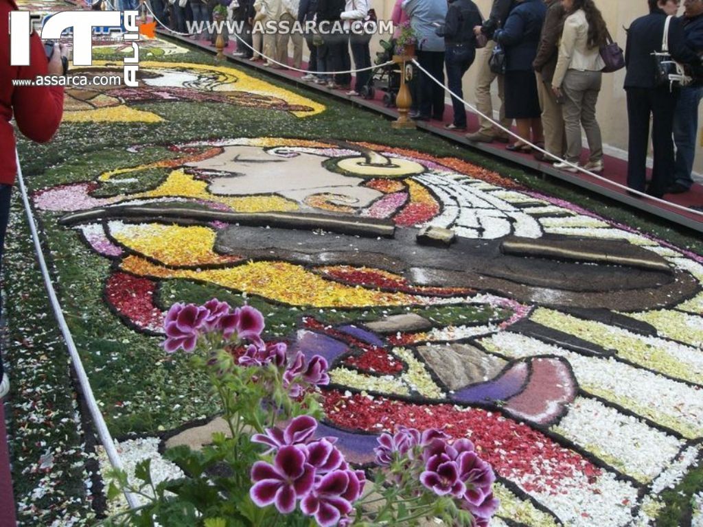 FESTA DELL`INFIORATA - 15 / 16 MAGGIO 2010   NOTO (SIRACUSA)