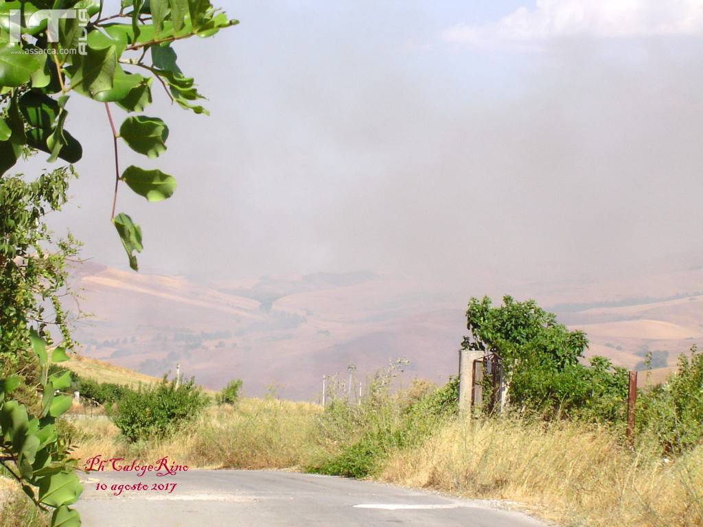 Incendio di una lunga serie, in questa estate torrida., 