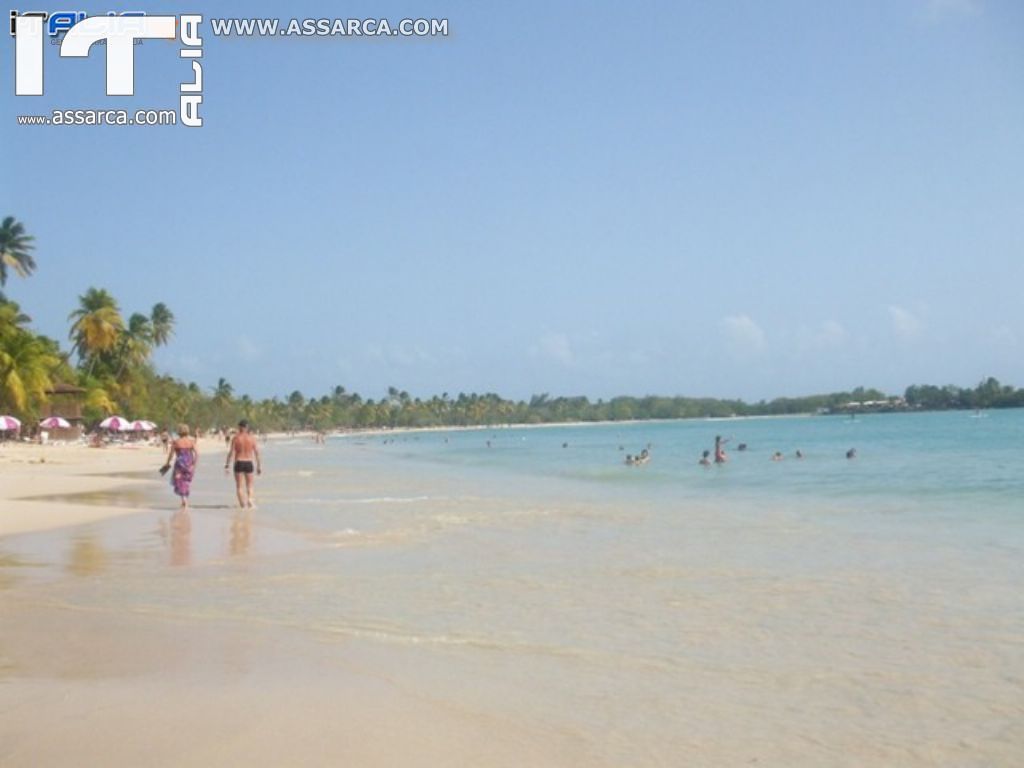 Isole Caraibiche - Crociera da sogno..Il modo migliore per festeggiare il mio compleanno., 