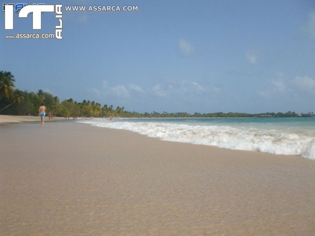 Isole Caraibiche - Crociera da sogno..Il modo migliore per festeggiare il mio compleanno., 