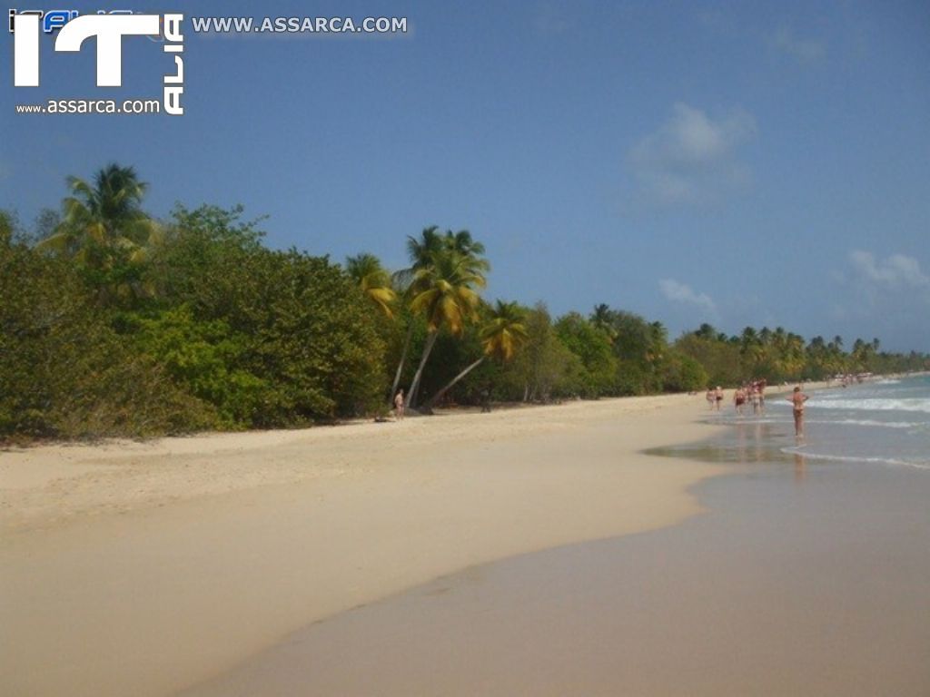 Isole Caraibiche - Crociera da sogno..Il modo migliore per festeggiare il mio compleanno., 