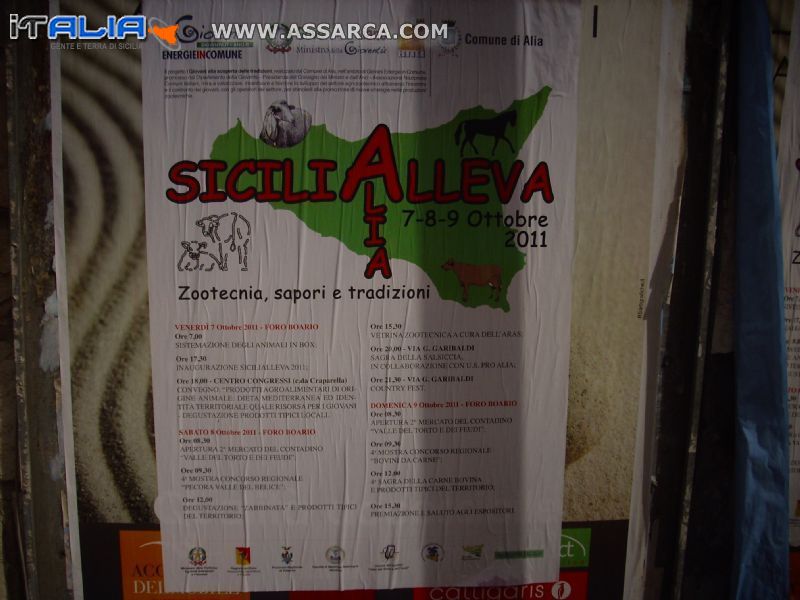 SICILIALLEVA - ALIA 7 - 8- 9 OTTOBRE 2011