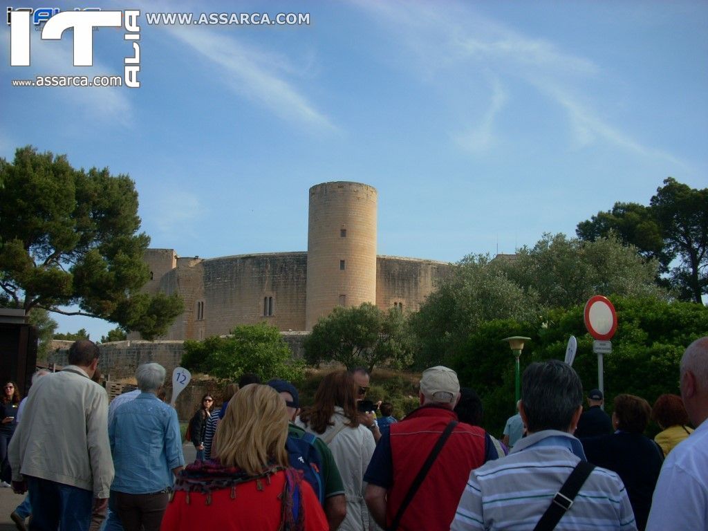 VISITA DELLA CITT DI PALMA DI MAIORCA -2015.