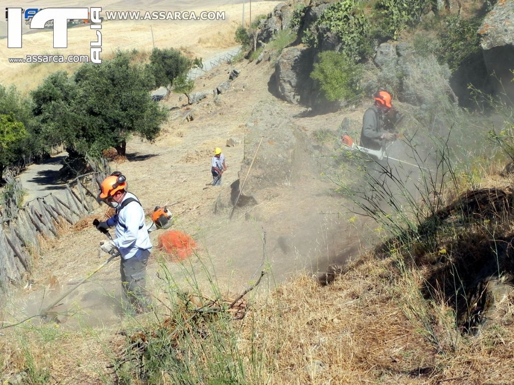 THOLOS DELLA GURFA - OPERAI FORESTALI CONTRO ERBACCE E STERPAGLIE. ECCELLENTE IL RISULTATO