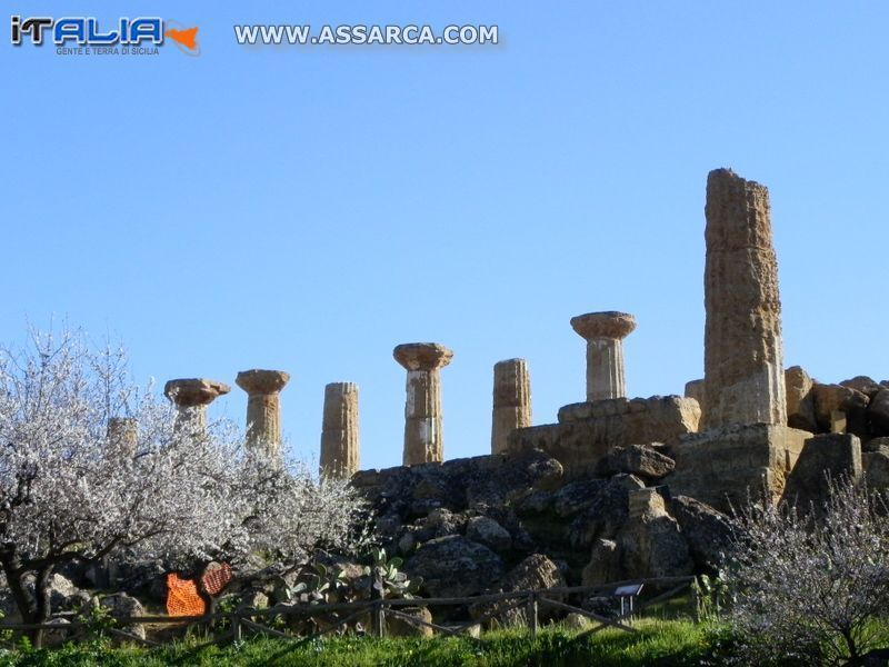 Agrigento: La Valle dei templi, 