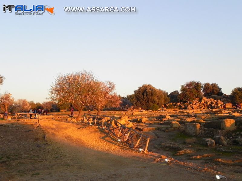 AGRIGENTO: LA VALLE DEI TEMPLI