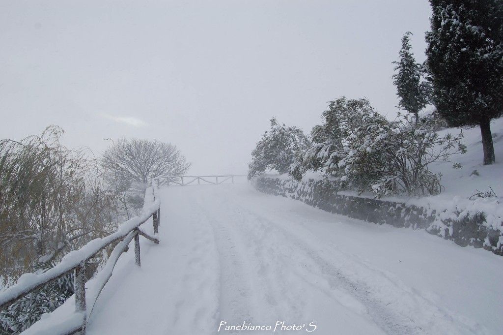 MALVAGNA  - NEVICATA DEL 06/01/2017