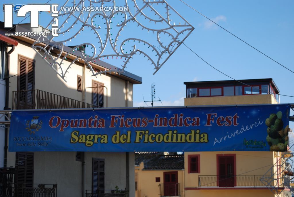 SAGRA DEL FICO D`INDIA - ROCCAPALUMBA - OTTOBRE 2013 (FOTO REALIZZATE DA VALERIA BARCELLONA)