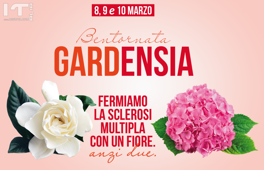 Sclerosi multipla: gardenie e ortensie in piazza a  sostegno della ricerca 