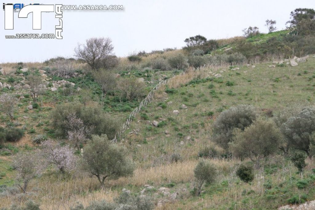 Natura nei pressi delle Tholos della Gurfa (foto di Carlo Iovino), 