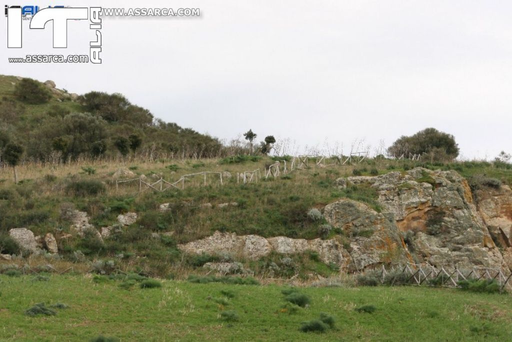 Natura nei pressi delle Tholos della Gurfa (foto di Carlo Iovino), 