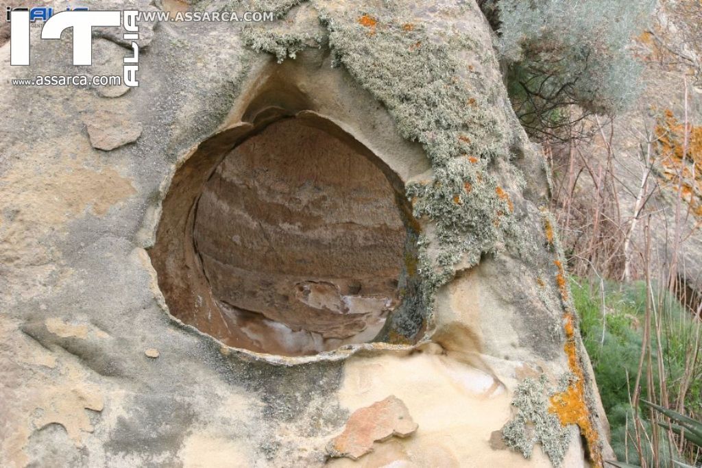 Natura nei pressi delle Tholos della Gurfa (foto di Carlo Iovino), 